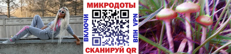Купить  Семёнов  Псилоцибиновые грибы мицелий 